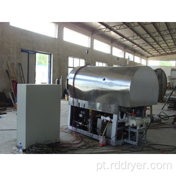 Máquina de secador de congelamento industrial/liofilização